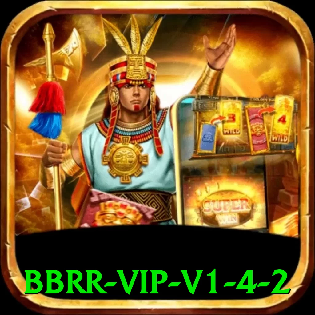 bbrr VIP v1.4.2 - vip