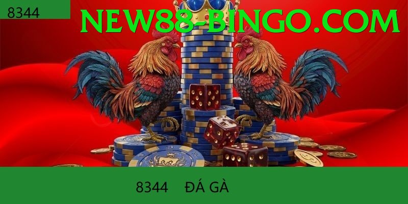 Cách Đọc Kèo Đá Gà - Xếp hạng